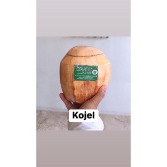 kojel